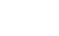 Palloys footer logo